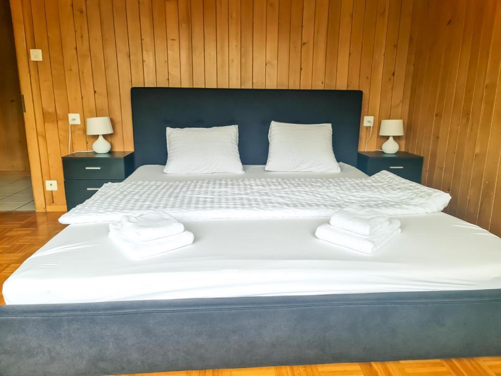 Abendberg Apartment - Aare Jungfrau Ag Wilderswil Bagian luar foto